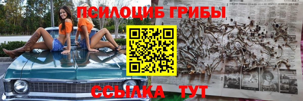 Галлюциногенные грибы Psilocybine cubensis Мариинск