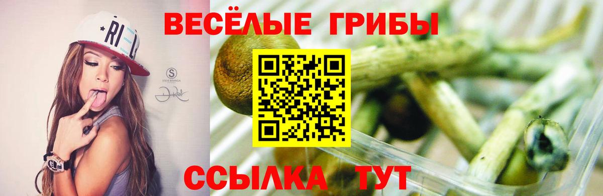 Alpha PVP СК кристаллы  Мариинск  Мефедрон кристаллы  Вход с VPN  ЭКСТАЗИ  NBOMe  ГАШ  Бошки Шишки 